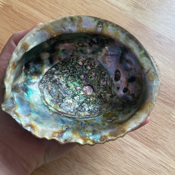 Elegant Iridescent Shell Art - Picture 2 of 14